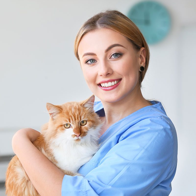 smiling woman holding an orange and white cat