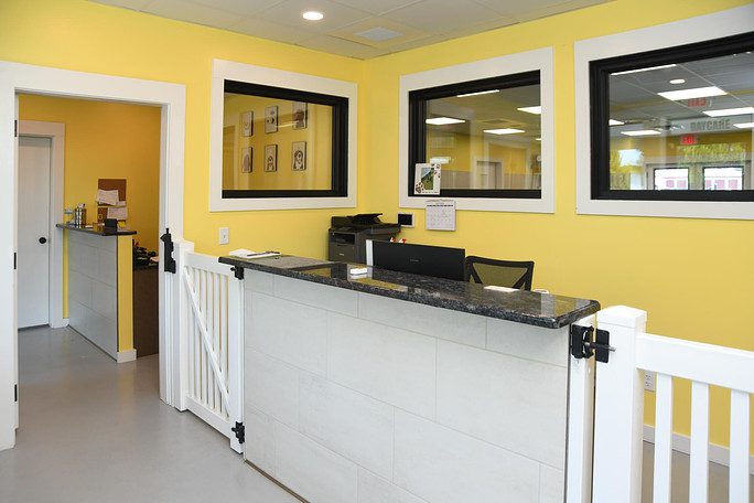 dog daycare lobby with yellow walls and marble front desk