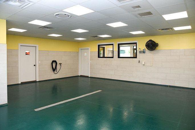 large empty playroom with green floor and yellow walls
