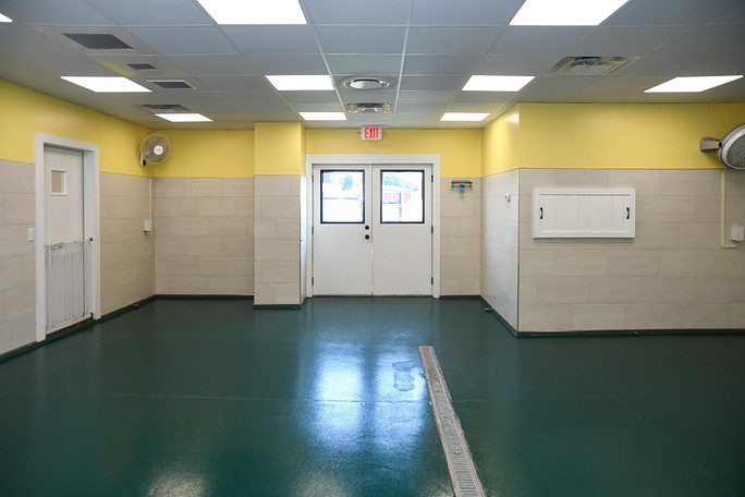 large empty playroom with green floor and yellow walls