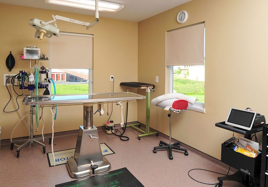 Cat Dog Surgery Harrisonburg, VA surgery room at Ashby Animal Clinic