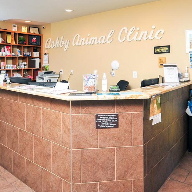 Ashby Animal Clinic's front desk