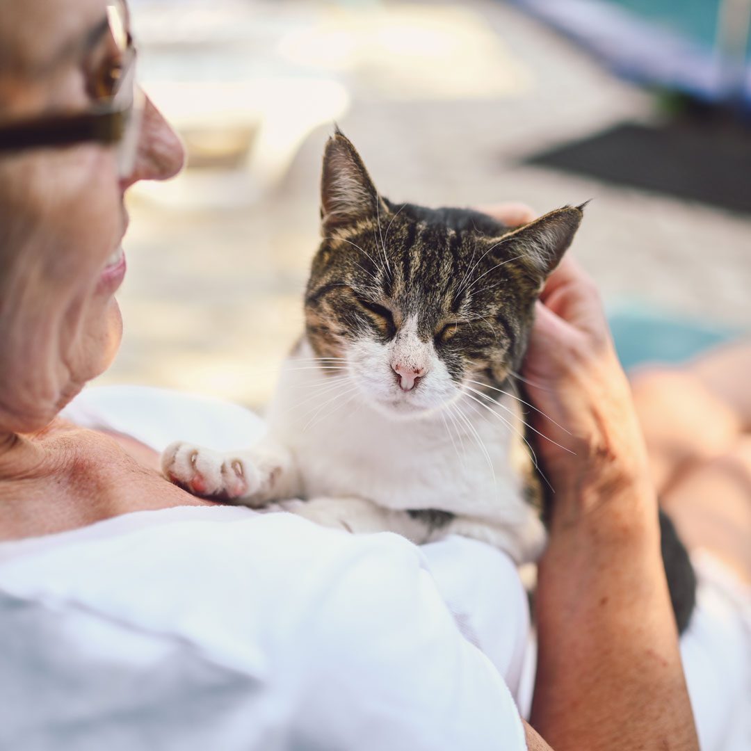 Elderly Woman Holding Senior Cat