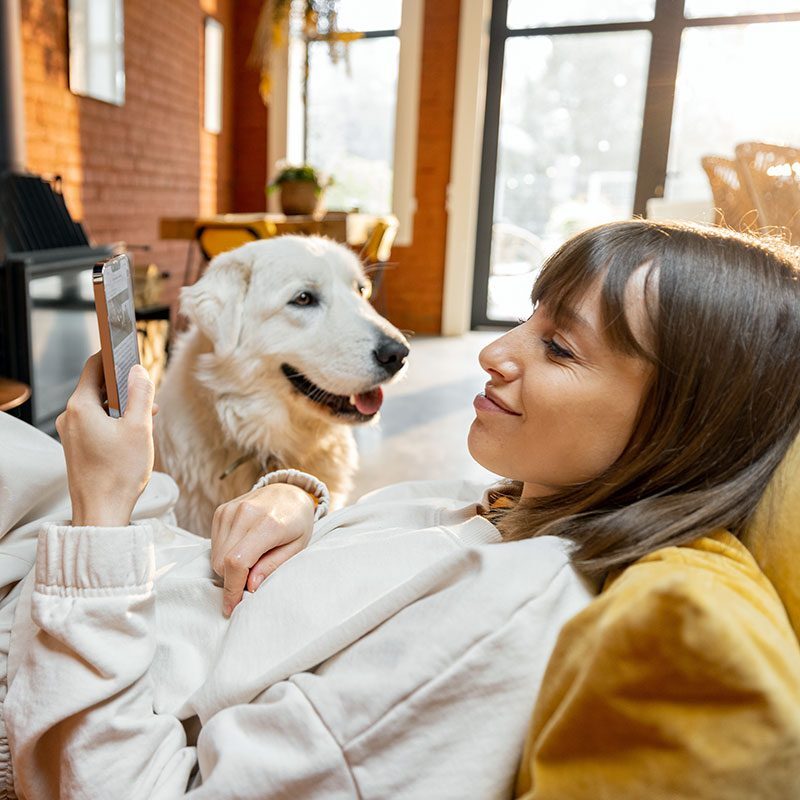 Pet Owner On Phone young woman reads a pet health blog on her phone